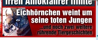 2008-04-12-eichwein Das Arme..., Quelle: bild.de