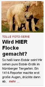 2008-04-13-fickbaer Yeah, lass krachen, eisiger Geselle! Quelle: bild.de