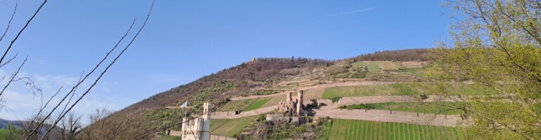 Foto über den Rhein hinweg mit dem Binger Mäuseturm und der Burgruine Ehrenfels