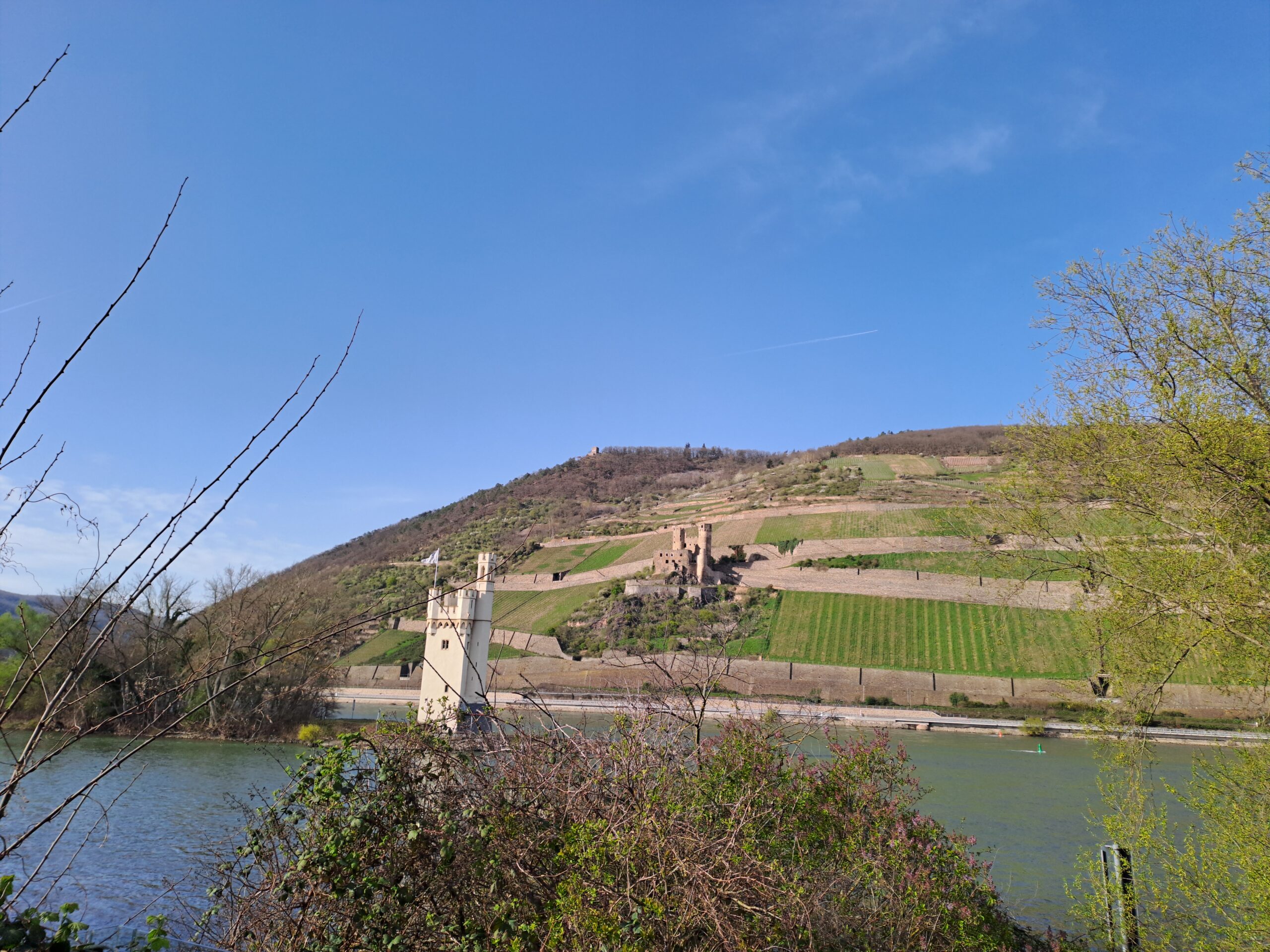 Foto über den Rhein hinweg mit dem Binger Mäuseturm und der Burgruine Ehrenfels